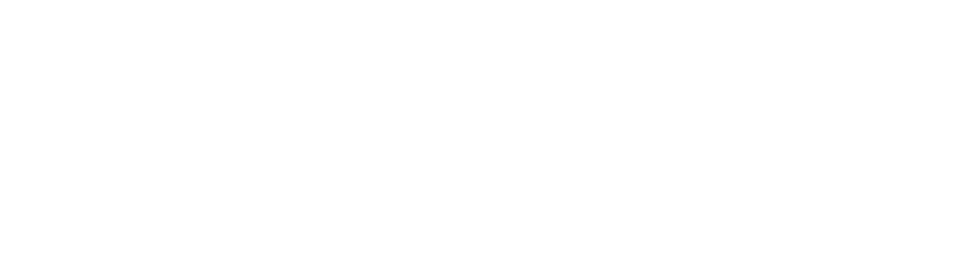 Logo Bigdoc